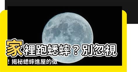 家裡跑進蟋蟀|【蟋蟀跑進家裡】蟋蟀跑進家裡，預示著什麼？徵兆如何破解？